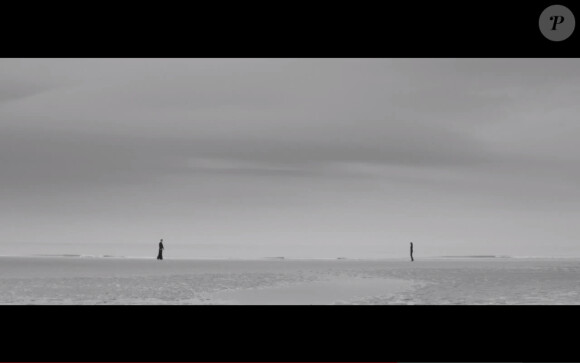 Sébastien Tellier - L'Amour naissant - septembre 2013.