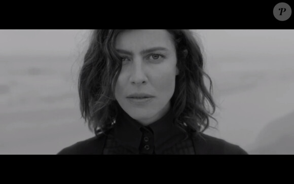 Sébastien Tellier - L'Amour naissant - septembre 2013.