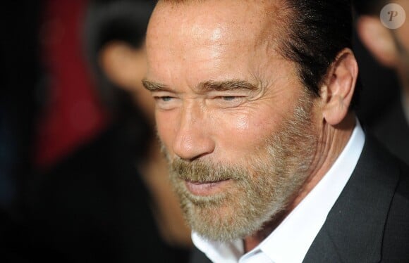 Arnold Schwarzenegger à la première du film Evasion (The Escape Plan) à New York le 15 octobre 2013.