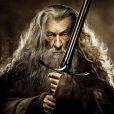 Gandalf (Sir Ian McKellen) dans Le Hobbit : La Désolation de Smaug.