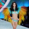 Hilary Rhoda au défilé Victoria's Secret 2013 à New York, le 13 novembre 2013.