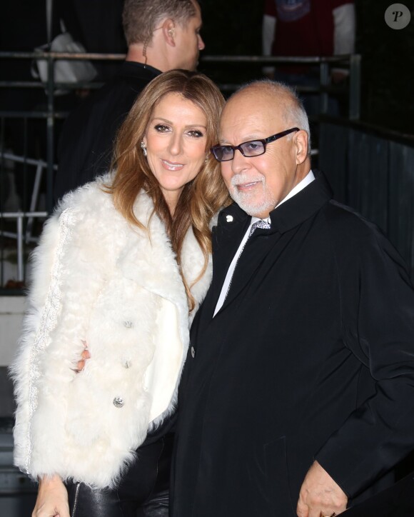 Céline Dion arrive à l'enregistrement de l'émission "Vivement dimanche" au Studio Gabriel à Paris, le 13 novembre 2013.