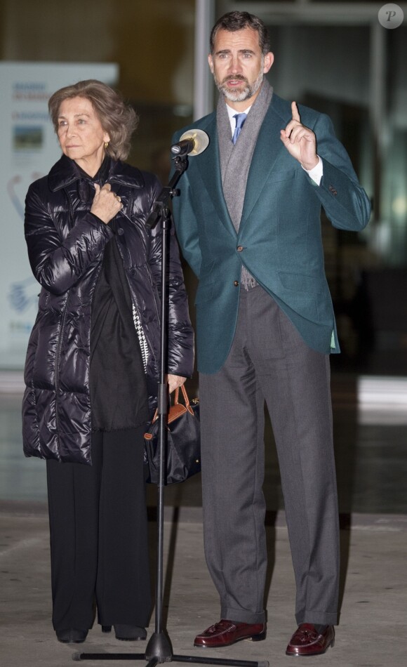 La reine Sofia et le prince Felipe d'Espagne donnant des nouvelles du roi Juan Carlos Ier devant le CHU Quiron de Madrid le 21 novembre 2013