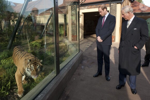 Le prince William et le prince Charles se réunissaient le 26 novembre 2013 à la Société de Zoologie de Londres pour une réunion de l'association United for Wildlife, dont le duc de Cambridge est le président.