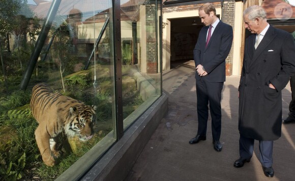 Le prince William et le prince Charles se réunissaient le 26 novembre 2013 à la Société de Zoologie de Londres pour une réunion de l'association United for Wildlife, dont le duc de Cambridge est le président.