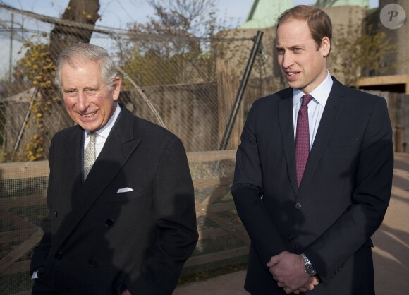 Le prince William et le prince Charles se réunissaient le 26 novembre 2013 à la Société de Zoologie de Londres pour une réunion de l'association United for Wildlife, dont le duc de Cambridge est le président.