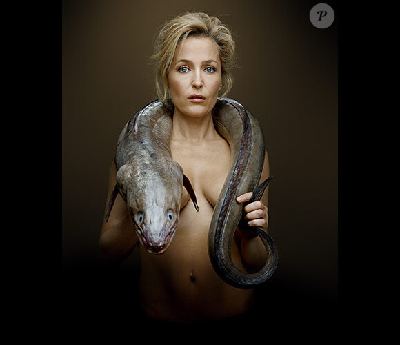 Gillian Anderson pose nue devant l'objectif de Denis Rouvre pour la campagne 2013 de Fishlove, fondation qui lutte contre le pillage des océans.
