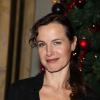 Sophie Le Tellier - 20eme Prix du producteur français de télévision au Théâtre Mogador à Paris, le 9 décembre 2013.