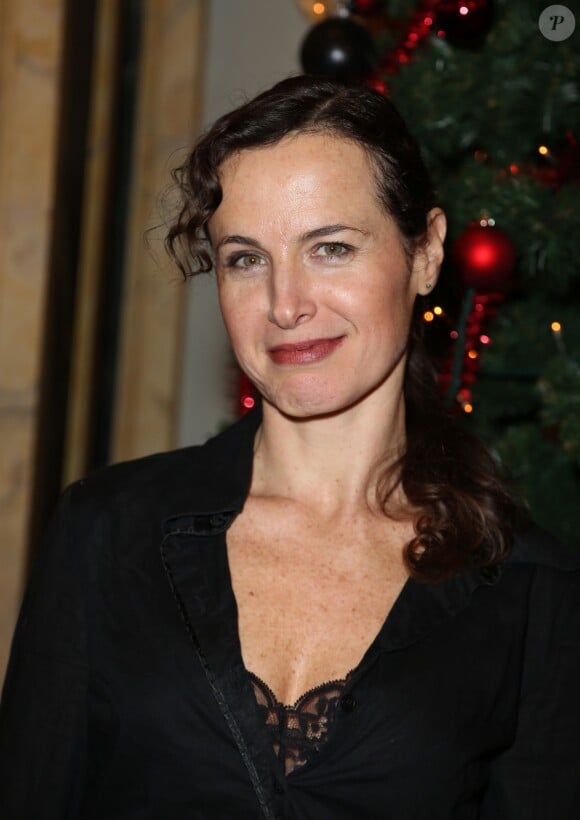 Sophie Le Tellier - 20eme Prix du producteur français de télévision au Théâtre Mogador à Paris, le 9 décembre 2013.