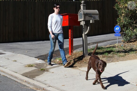 Anne Hathaway a laissé un sac d'excrément de sa chienne Esmeralda sur la voiture d'un photographe qui l'approchait de trop près, à Los Angeles le 26 décembre 2013