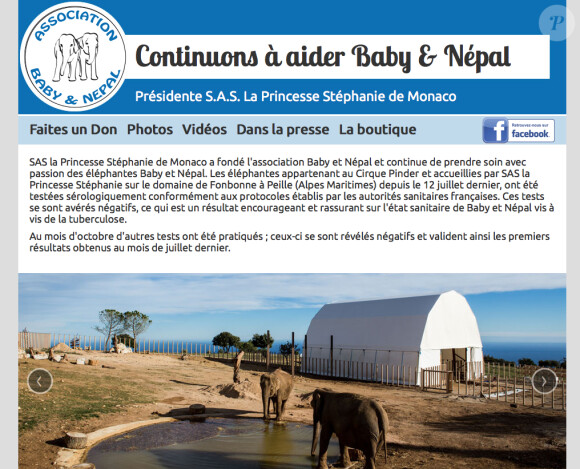 Page d'accueil du site de l'Association Baby & Nepal instaurée par la princesse Stéphanie pour les éléphantes qu'elle a sauvées.