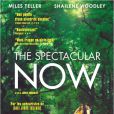 Affiche du film The Spectacular Now