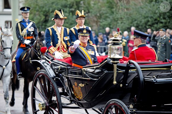 Le roi Willem-Alexander des Pays-Bas lors des célébrations du bicentenaire de l'armée néerlandaise le 9 janvier 2014 à La Haye.