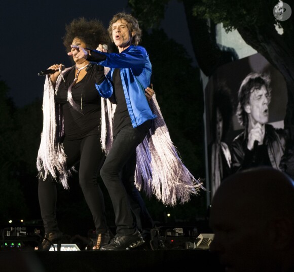 Les Rolling Stones en concert à Hyde Park à Londres le 6 juillet 2013.