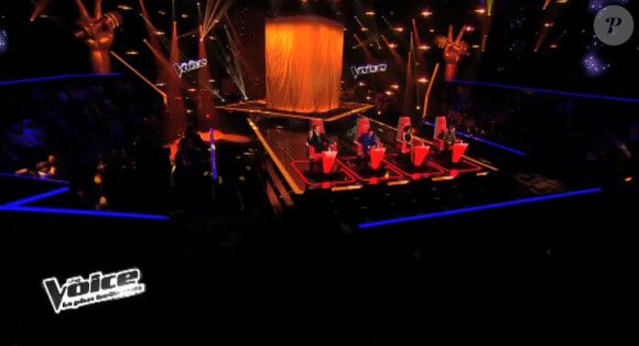Adrien Abelli dans The Voice 3 sur TF1 le samedi 8 février 2014