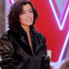 Battle entre La Petite Shade et Rich Ly dans "The Voice 3" sur TF1 le samedi 15 mars 2014.