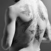 Le dos très tatoué de Zlatan Ibrahimovic, photographié par Karl Lagerfeld pour Elle Man.