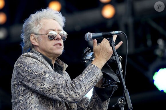 Bob Geldof en concert au Festival de l'Ile de Wight, le 16 juin 2013.