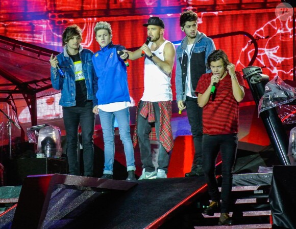 Le groupe One Direction en concert à Sunderland, au Royaume-Uni, le 28 mai 2014.
