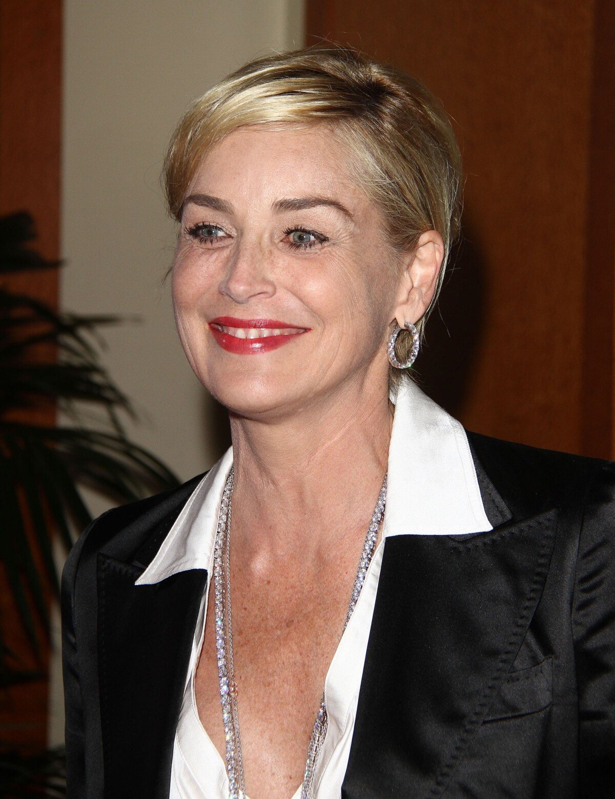 Vidéo : Sharon Stone assiste au gala " The Aviva 2014 " à Beverly Hills