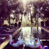 Jade et Joy naviguent sur une énorme cygne dans la piscine familiale. Une photo de Laeticia Hallyday postée sur son compte Instagram, le 21 juin 2014.