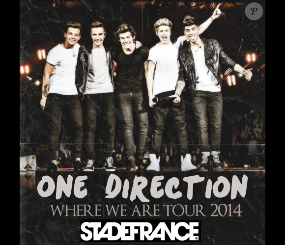 Les One Direction en concert au Stade de France les 20 et 21 juin 2014.
