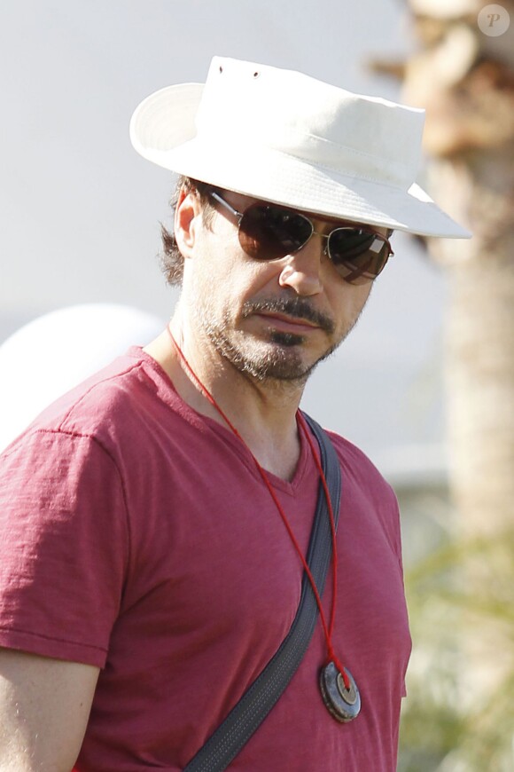 Robert Downey Jr à Coachella 2011.