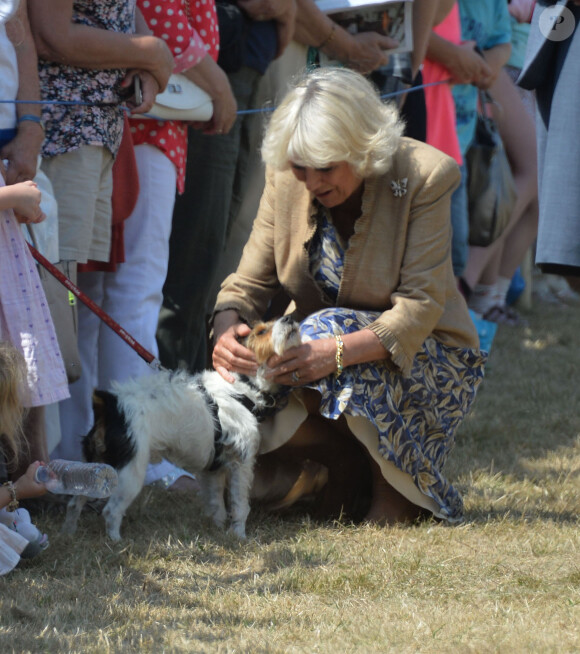 Camilla, la grande amie des Jack Russell. Le prince Charles et Camilla Parker-Bowles visitaient le Sandringham Flower Show le 30 juillet 2014, dans le Norfolk.