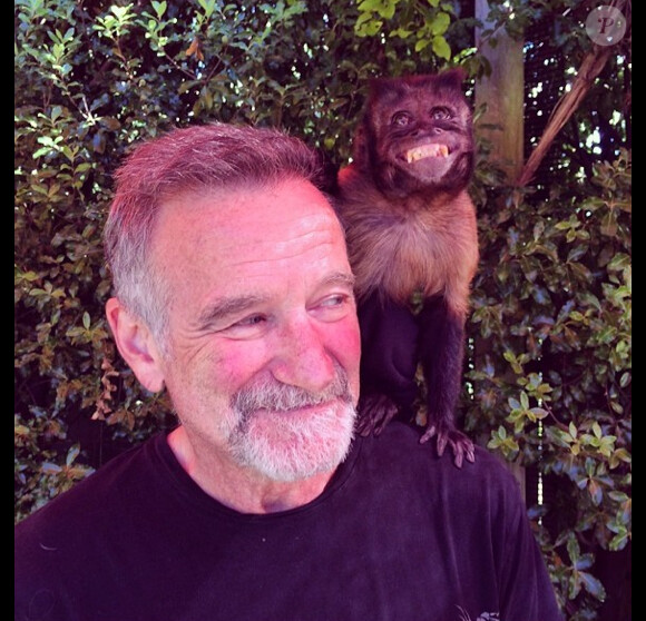 Le 22 juillet 2014, Robin Williams a posté une photo de lui et du singe Crystal, qui joue avec lui dans la saga La Nuit au musée. En légende : "Joyeux anniversaire à moi ! Une visite de l'une de mes collaboratrices féminines préférées, Crystal."