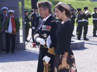 Princesse Mary : Stylée et recueillie à la citadelle pour le jour du drapeau