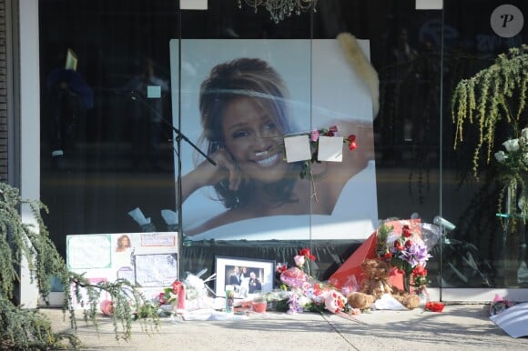 Enterrement de Whitney Houston à Wigham, le 17 février 2012.