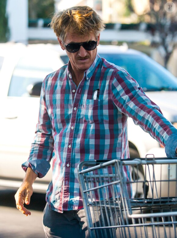 Exclusif - Charlize Theron et Sean Penn font du shopping à Los Angeles Le 29 Novembre 2014.