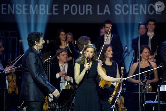 Patrick Bruel et Anne Gravoin - 40e anniversaire du Conseil Pasteur-Weizmann à l'Opéra Garnier à Paris le 12 janvier 2015.