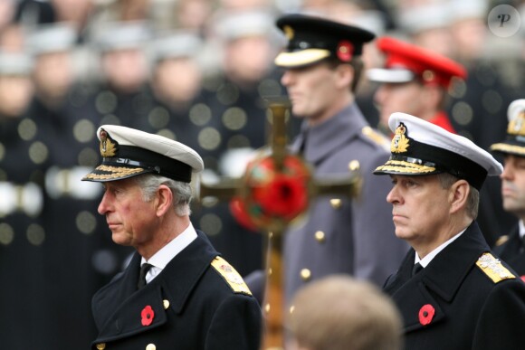 Le prince Andrew (à droite du prince Charles) lors du dimanche du souvenir à Londres le 9 novembre 2014