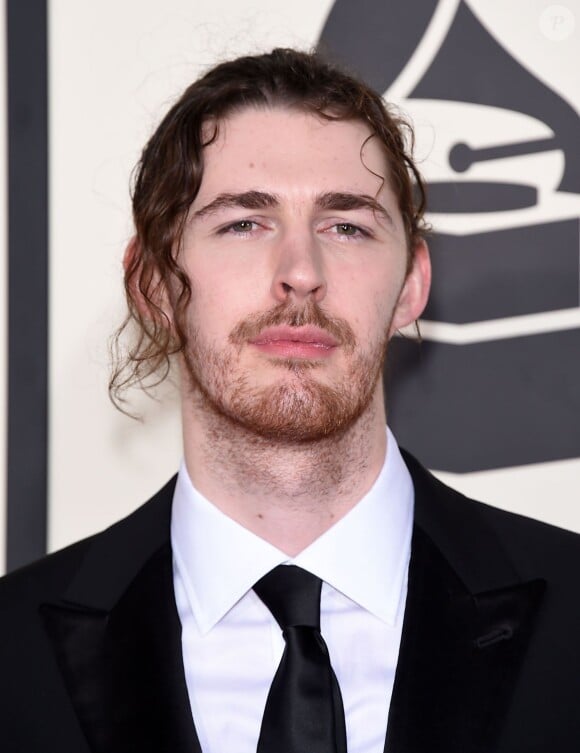 Andrew Hozier-Byrne (Hozier) lors de la 57ème soirée annuelle des Grammy Awards au Staples Center à Los Angeles, le 8 février 2015. 