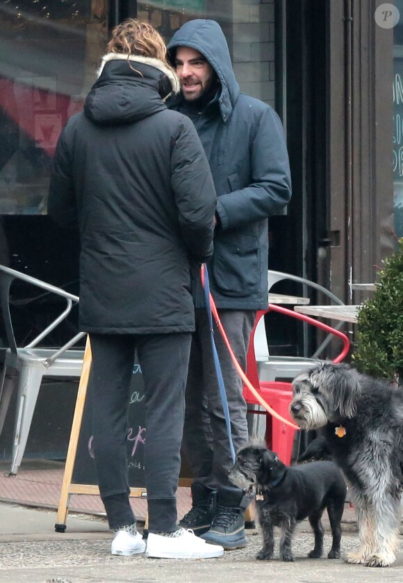 L'acteur Zachary Quinto et son compagnon Miles McMillan promènent leurs chiens dans les rues de New York. Le 8 février 2015
