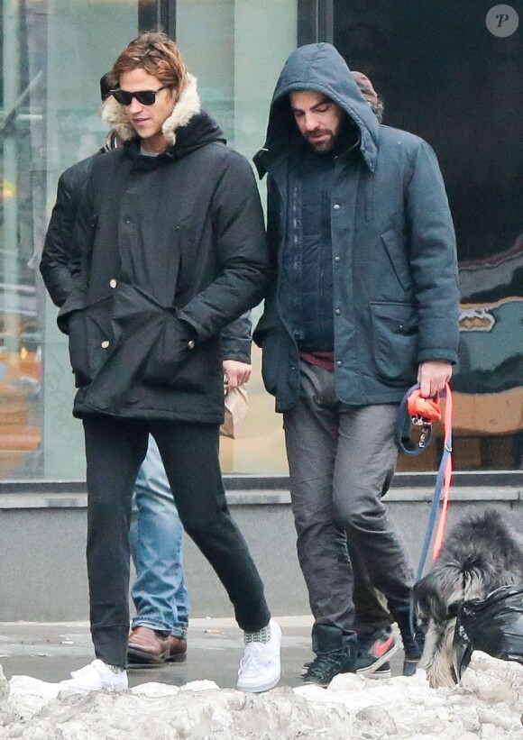 Zachary Quinto et son compagnon Miles McMillan promènent leurs chiens à New York. Le 8 février 2015