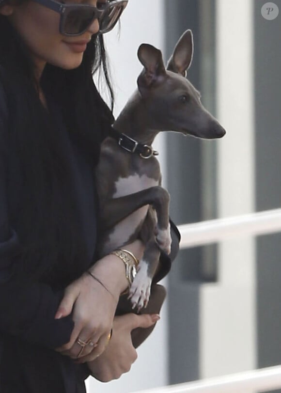 Kylie Jenner fait du shopping chez Fred Segal avec son chien Normie à West Hollywood, le 23 février 2015.  