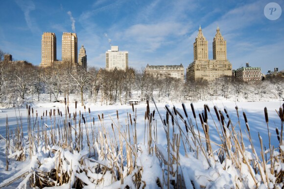 Vue de Central Park à New York. A droite, l'immeuble San Remo