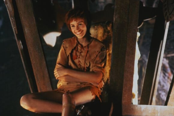 Image du film Hook avec Julia Roberts