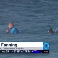 Mick Fanning : La star du surf attaquée par un requin, devant sa mère horrifiée