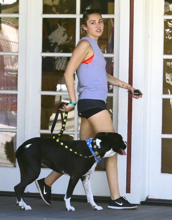 Exclusif - Miley Cyrus se promène avec une amie et leurs chiens respectifs à Calabasas, le 4 août 2015.