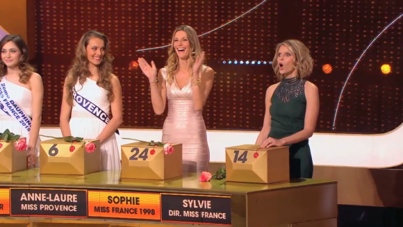 La sublime Camille Cerf vexe Sylvie Tellier - Extrait de l'émission spéciale Miss France de A prendre ou à laisser, diffusée sur D8, le 4 septembre 2015.