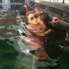 Mariah Carey dans la piscine avec ses enfans / photo postée sur le compte Instagram de la chanteuse américaine.