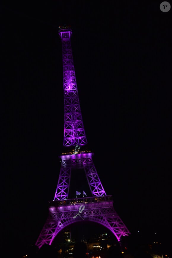 Soirée de lancement d'Octobre Rose (le mois de lutte contre le cancer du sein) au Palais Chaillot à Paris le 28 septembre 2015