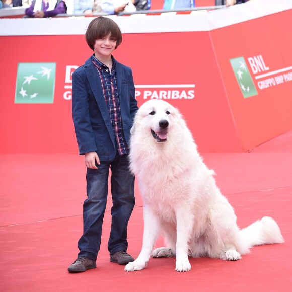 Félix Bossuet et Garfield (devenu "Belle" à l'écran) - Tapis rouge du film "Belle et Sébastien" à Rome, le 17 octobre 2015.