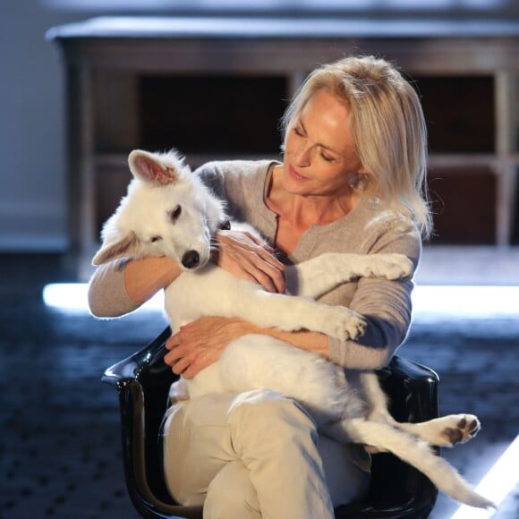 Exclusif - Alexandra Vandernoot - Enregistrement de l'émission "Animaux Stars", qui sera diffusée en mars 2016 sur la chaîne TV Animaux, au Bastille Design Center à Paris. Le 17 novembre 2015 © CVS / Bestimage.