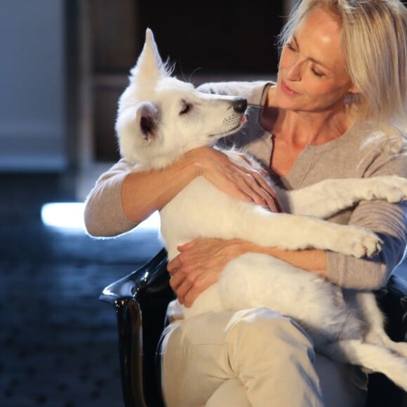 Exclusif - Alexandra Vandernoot - Enregistrement de l'émission "Animaux Stars", qui sera diffusée en mars 2016 sur la chaîne TV Animaux, au Bastille Design Center à Paris. Le 17 novembre 2015 © CVS / Bestimage.