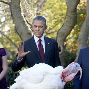 Barack Obama a sauvé une dinde à l'occasion de la fête de Thanksgiving, à la Maison Blanche, en compagnie de ses filles Sasha et Malia, le 25 novembre 2015