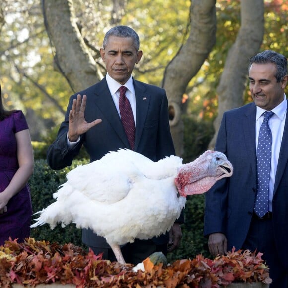 Barack Obama a sauvé une dinde à l'occasion de la fête de Thanksgiving, à la Maison Blanche, en compagnie de ses filles Sasha et Malia, le 25 novembre 2015